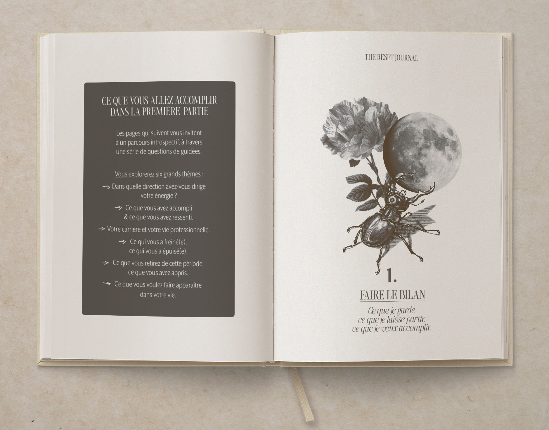 Book-Mockup-open02.jpg