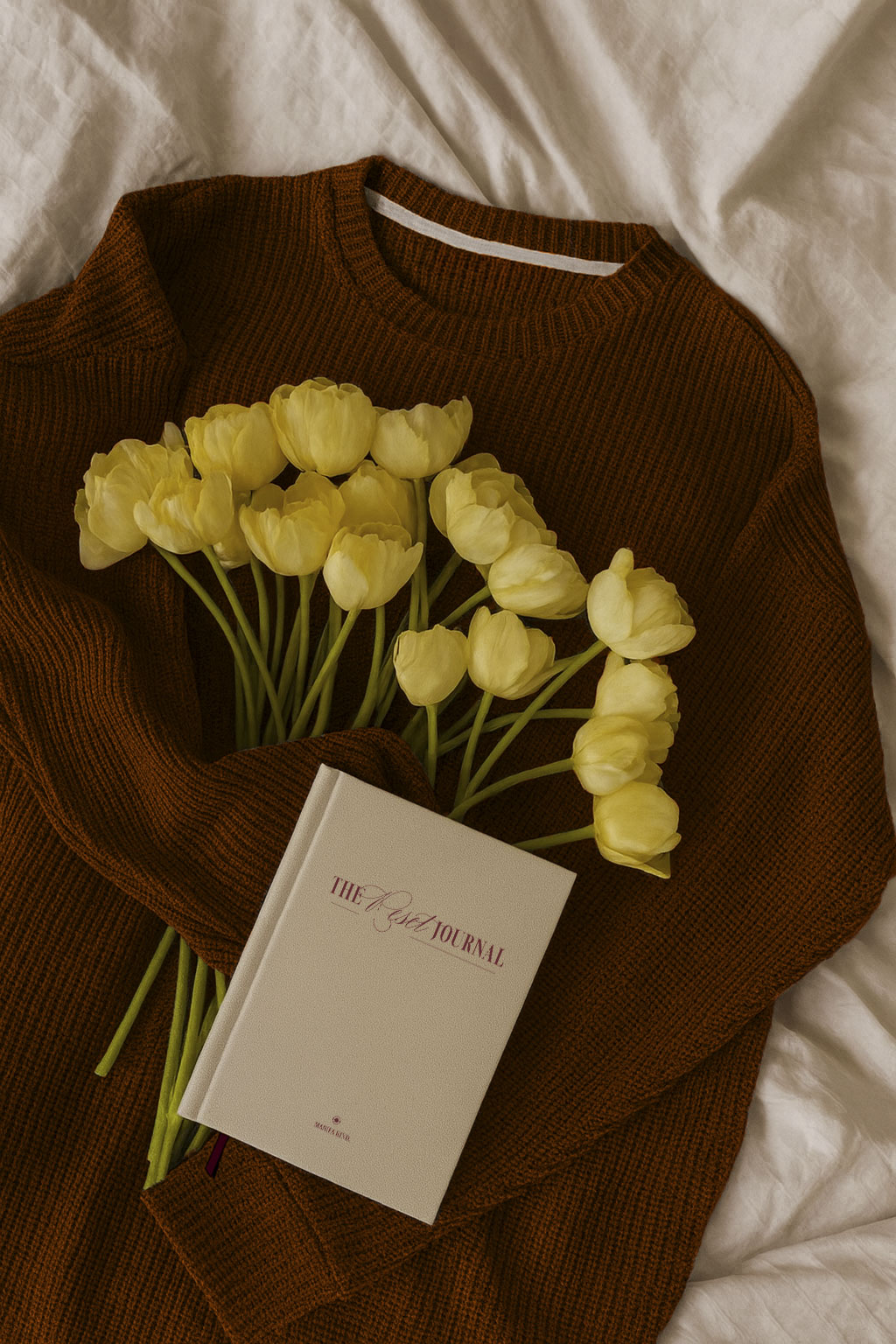 Manifa-Kind-gratitude-clarté-intention-journal-vision-board-5